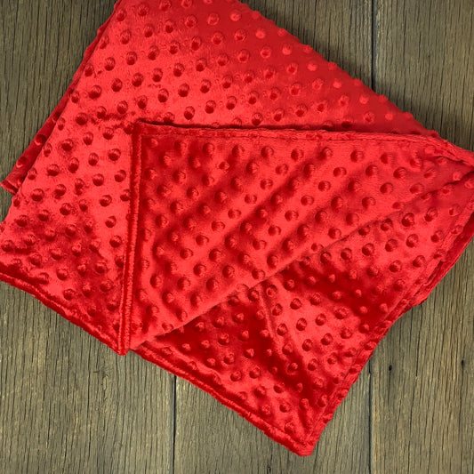 Baby Blanket - Red Minky